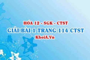 Bài 1 trang 114 Hóa 12 Chân trời sáng tạo